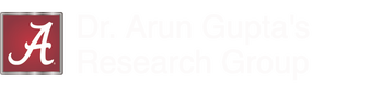 Arun Gupta's Research Group
